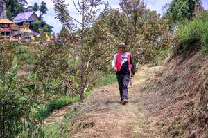 BIB: 
                            <button type="button" onclick="openModal(24843065)" class="btn btn-primary btn-sm float-right btn-popup" data-toggle="modal" data-target=".modal-high-quality">
                        <i class="fas fa-shopping-cart"></i> Add to Cart
                    </button>
                                            <button type="button" onclick="isThisMe(24843065, true)" class="btn btn-success btn-sm float-right btn-popup btn-isme hidden" data-toggle="tooltip" data-placement="bottom" title="นี่คือรูปของคุณใช่ไหม คลิกที่นี่เพื่อเอาเข้าอัลบั้ม">
                        <i class="fas fa-plus"></i> Add to album
                    </button>
                    <button type="button" onclick="isThisMe(24843065, false)" class="btn btn-warning btn-sm float-right btn-popup btn-isnotme hidden">
                        <i class="fas fa-ban"></i> Remove from album
                    </button>